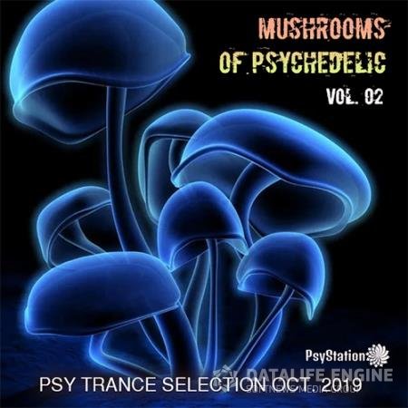 Mushrooms Of Psychedelic Vol. 02 (2019)