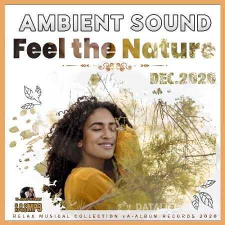 Feel The Nature: Ambient Sound (2020)