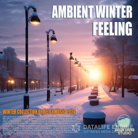 Ambient Winter Feeling (2024)
