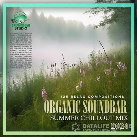 Organic Soundbar (2024)